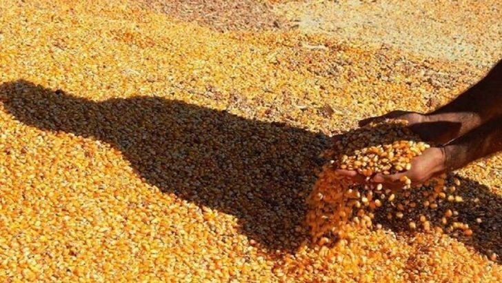 ممنوعیت واردات کالاهای اساسی از واسطه های بین المللی